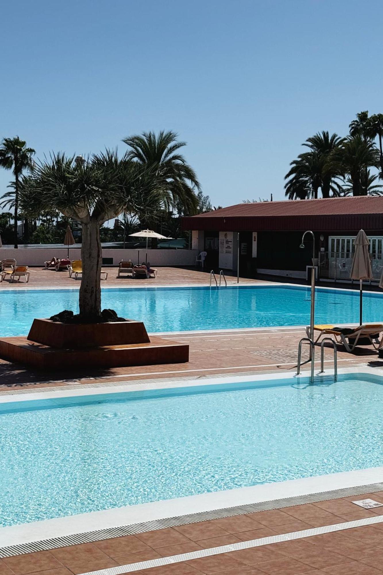 Lovely Apartment In San Agustin: Steps Away From Playa Del Ingles And Maspalomas! San Bartolomé Ngoại thất bức ảnh